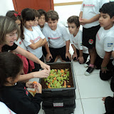 DSC00744.JPG