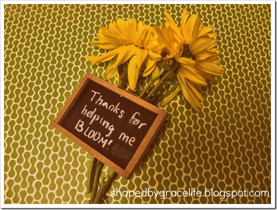 MayTeacherAppreciationBLOG2 MayTeacherAppreciationBLOG2