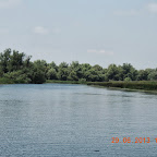 DSCN8175.JPG