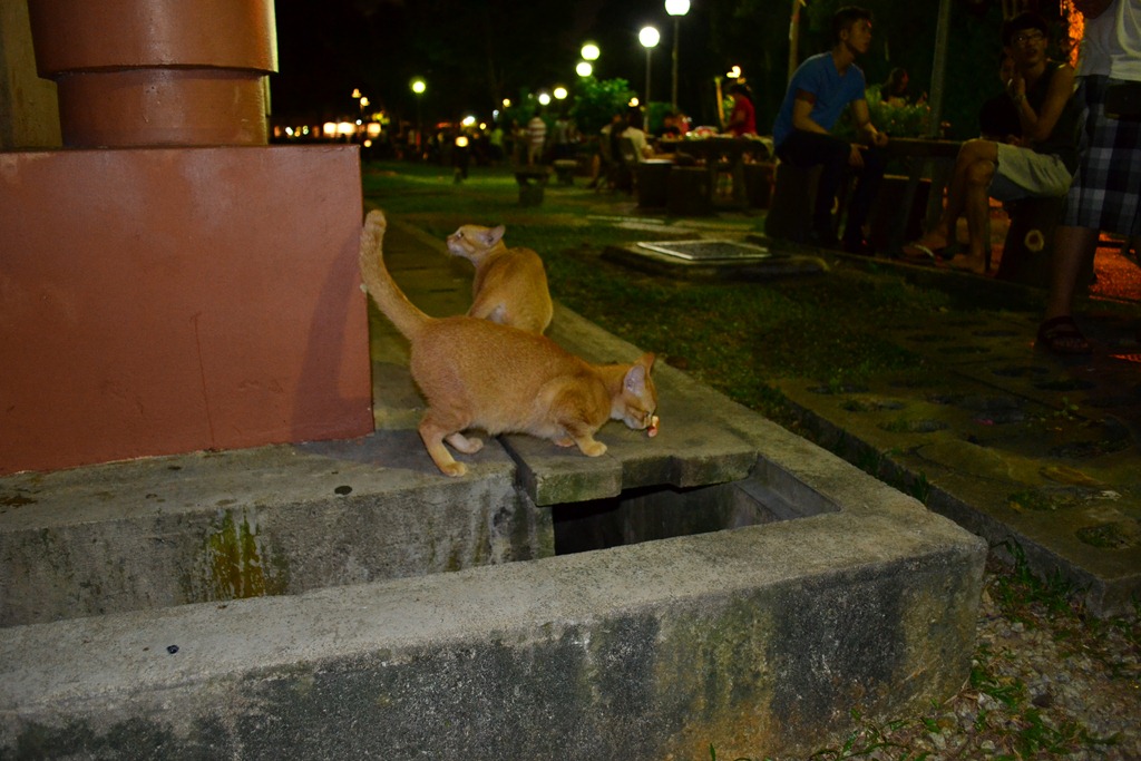 [DSC_0542%255B3%255D.jpg]