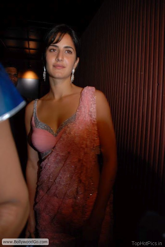 Katrina Kaif Cute Pics in Light Pink Half Saree 4