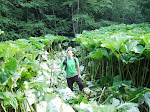 DSCF5448.JPG