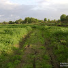 dsc02980.jpg