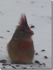 IMG_5850 IMG_5850