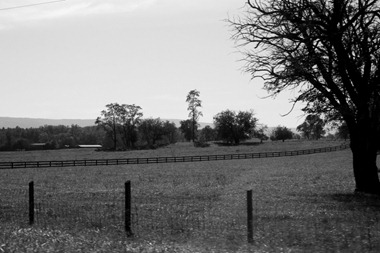 Virginia Trip- October 2011 252
