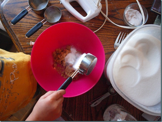 P1313253