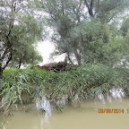 IMG_5782.JPG