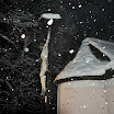 DSC_0480-1.JPG