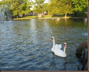 IMG_4688 IMG_4688
