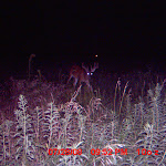 MDGC0365.JPG