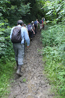 IMG_1751.JPG Photo