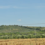 DSC_5994.jpg
