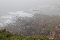 IMG_9310.JPG Photo