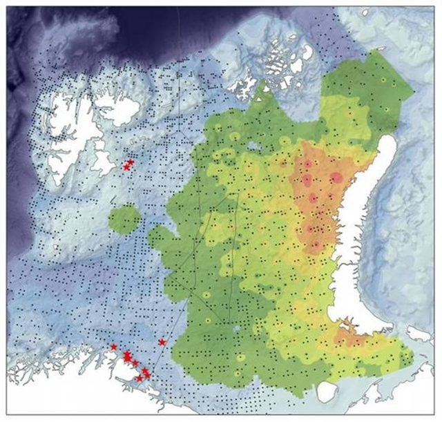 Invasive snow crabs in Barents Sea heading toward fragile ecosystems of