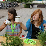 IMG_1561.jpg