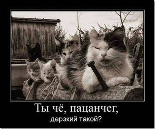 Что такое гопники определение. Смотреть фото Что такое гопники определение. Смотреть картинку Что такое гопники определение. Картинка про Что такое гопники определение. Фото Что такое гопники определение