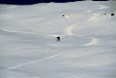 Ohne Titel-3.jpg