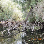 DSCN3088.JPG