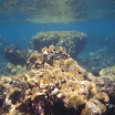  Snorkel Buck Island Reef 