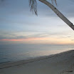 SDC10505.jpg