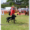 Pet Dogs 036.jpg
