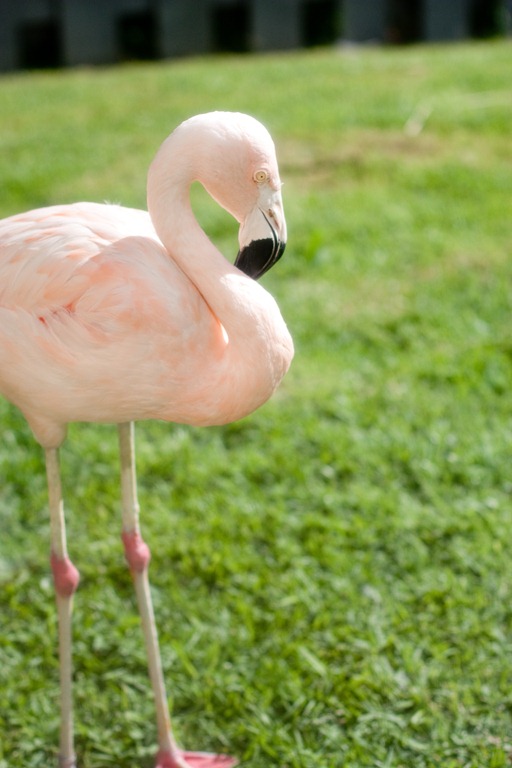 [20121212-IMG_20723.jpg]