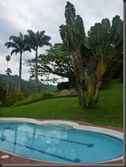 P1030172 P1030172