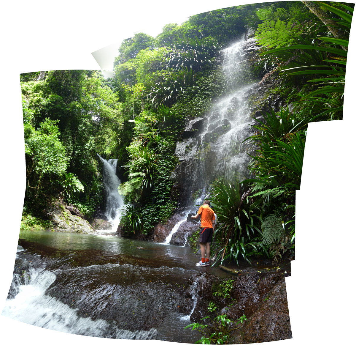 Clint & Bronwen, Toolona Creek and Mount Wanungra, O’Reilly’s