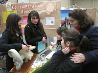 ferias hispano americano 031.jpg