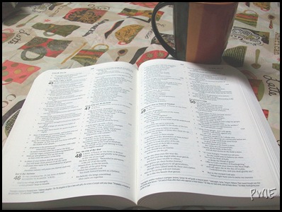 waterproof bible review 006 waterproof bible review 006