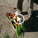 Morocco - videoplayback?id=9ba99a2ce5c38999&itag=18&source=picasa&cmo=sensitive_content%3Dyes&ip=0.0.0.0&ipbits=0&expire=1371861696&sparams=id,itag,source,ip,ipbits,expire&signature=750782EF9A4105BCA6594C2A08440A9B835364FA.A1BD291AB157AF49FBC88295385D33840F9C0209&key=lh1