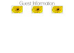 Yellow Gerbera 4 Guest Information