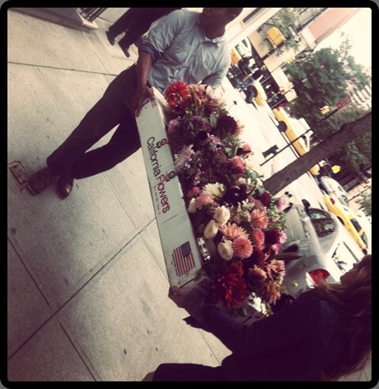 6171614815_529ac12368_z saipua 6171614815_529ac12368_z saipua