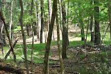 DSC_0003.JPG