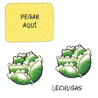 02 Lechugas.jpg