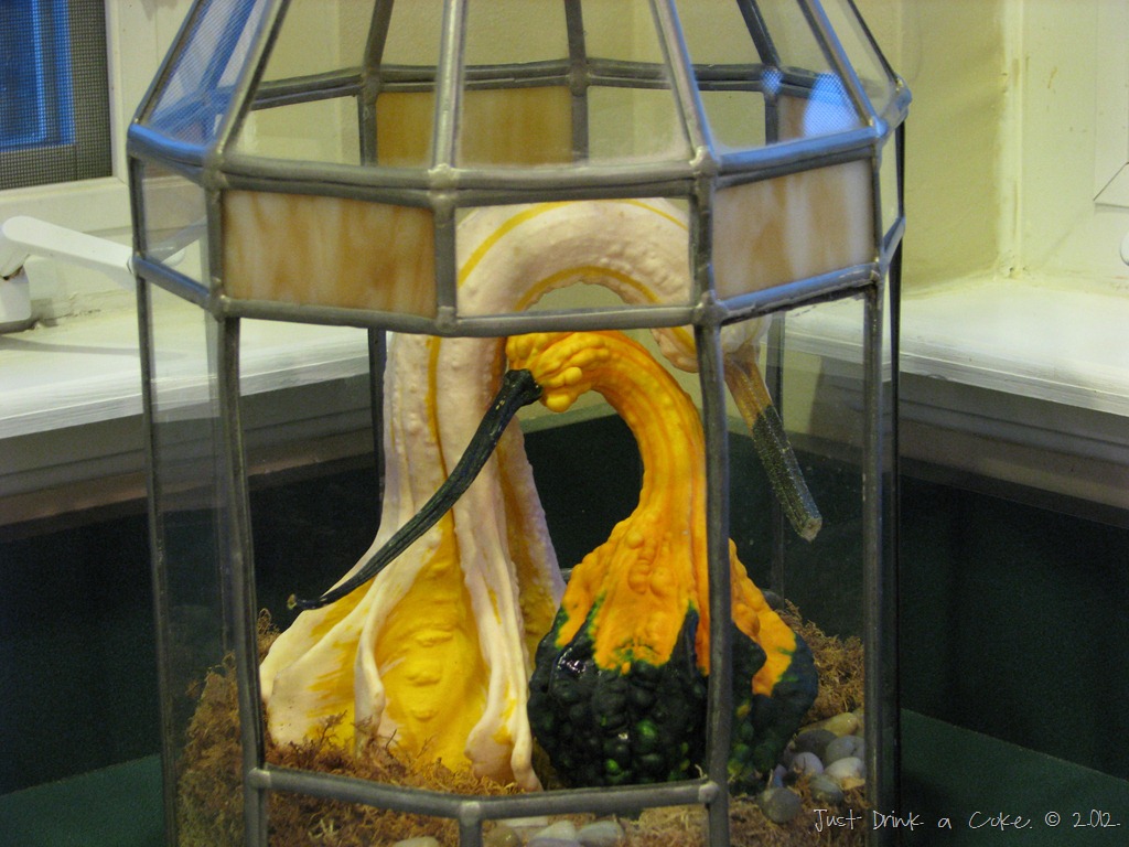 [lovebird%2520gourds%255B3%255D.jpg]