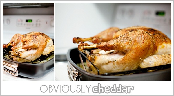 [Thanksgiving_Christmas-6%255B4%255D.jpg]