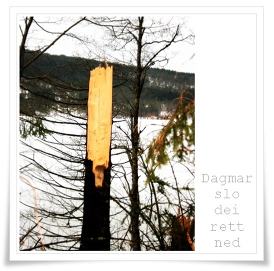 dagmar1