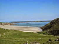 IMG_1648 IMG_1648