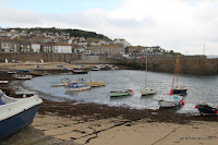IMG_8006.JPG Photo