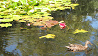Queenstown Gardens