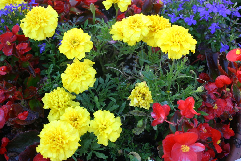 [holiday%2520road%2520017%255B4%255D.jpg]