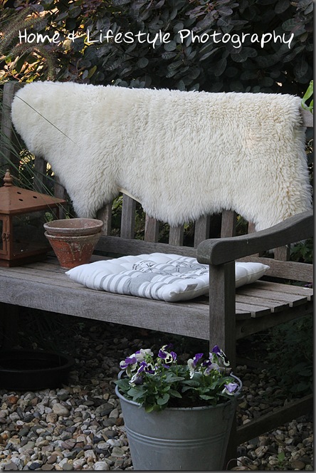 Home & Lifestyle Home & Lifestyle