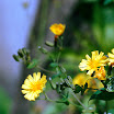20070607012-1.jpg