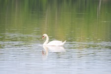 DSC_1209.JPG
