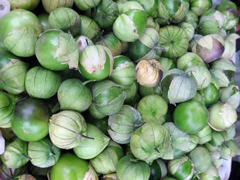 [Copy%2520of%2520tomatillos%255B6%255D.jpg]