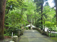 R0010405.JPG Photo