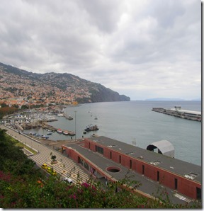 IMG_9775 IMG_9775