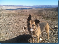 Lake Mead56-16 Feb 2012