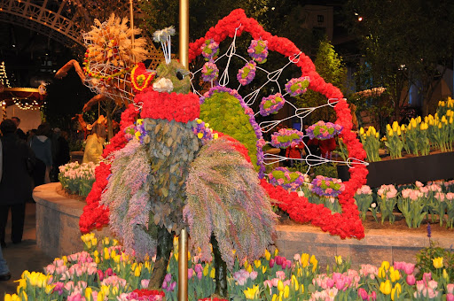 Fantastic turkey topiary